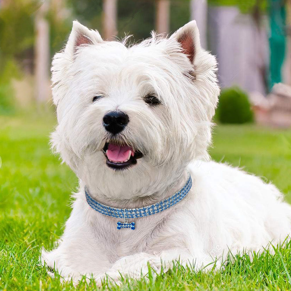 Dog Crystal Collar