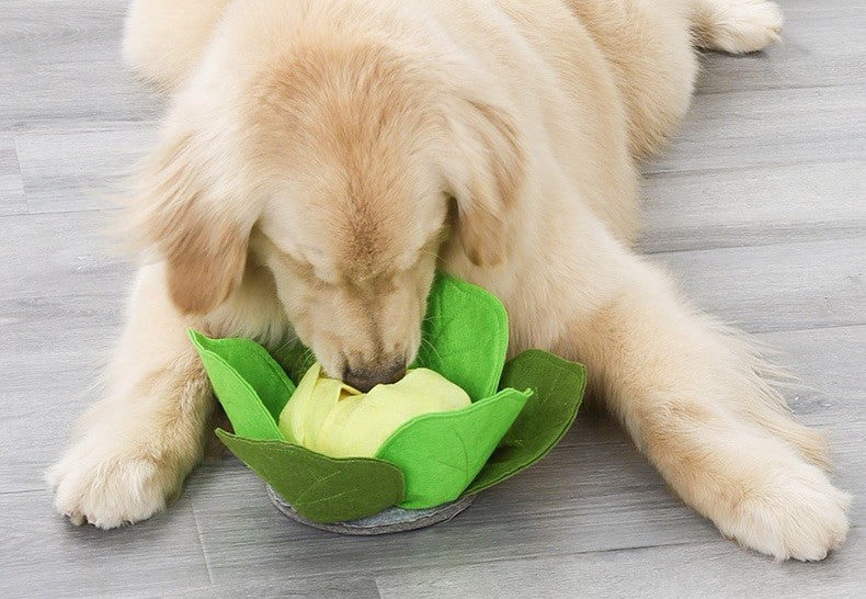 Puzzle Dog Bowl